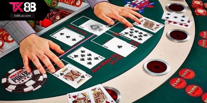 Các biến thể phổ biến