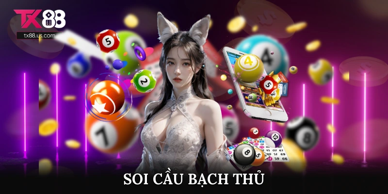 Soi Cầu Bạch Thủ