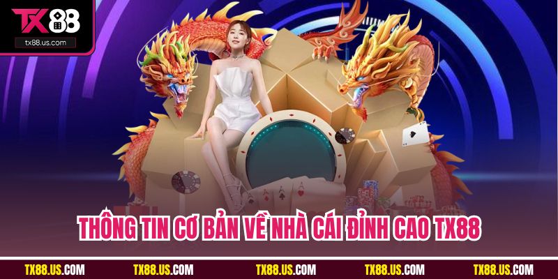 Thông tin cơ bản về nhà cái đỉnh cao TX88